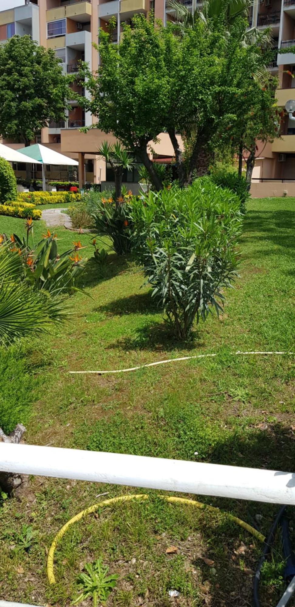 Green Oasis Rome Luaran gambar